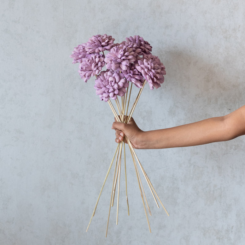 Dried Flowers & Leaves