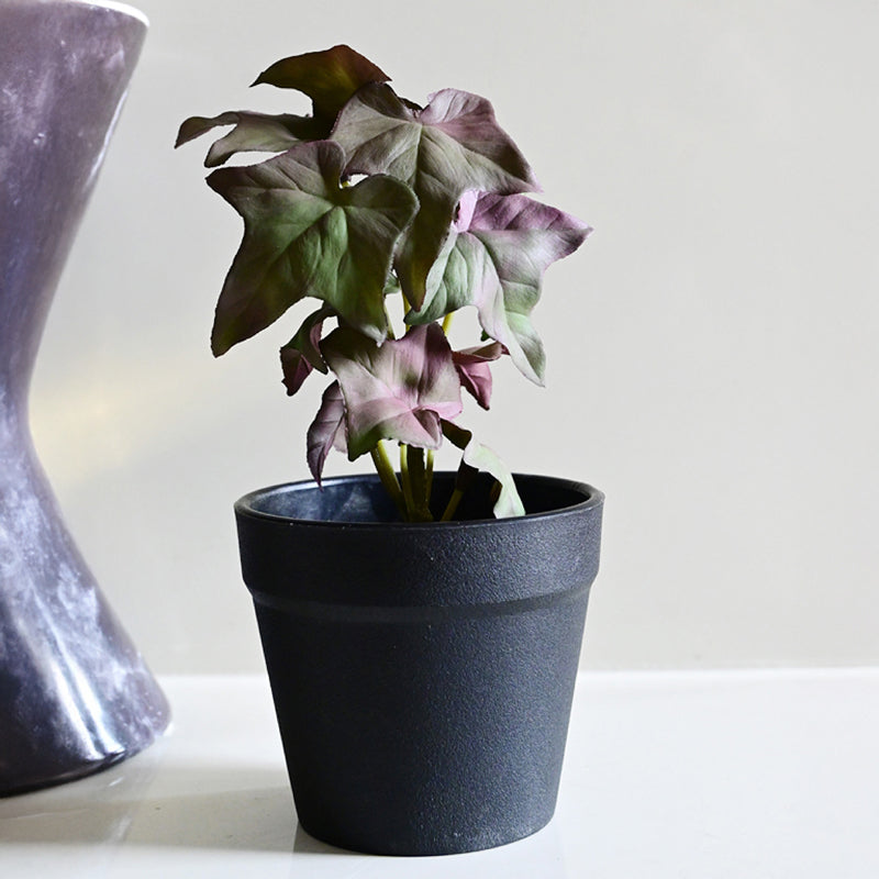 Ivette Artificial Mini Ivy Plant With Basic Black Plastic Pot (Purple) - 16 cm media 3