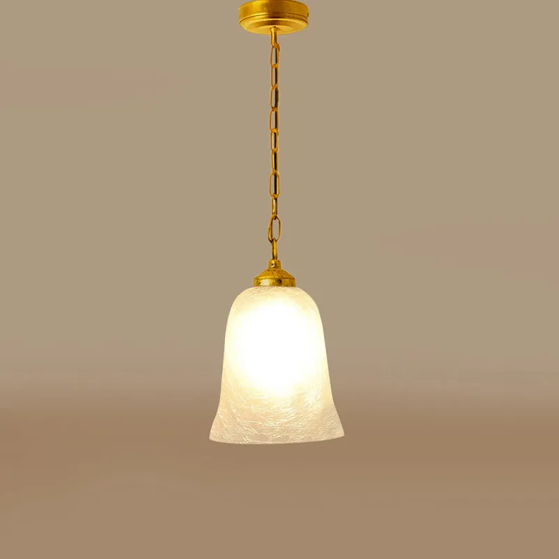 NoorCurve Metal & Glass Ceiling Lamp media 5