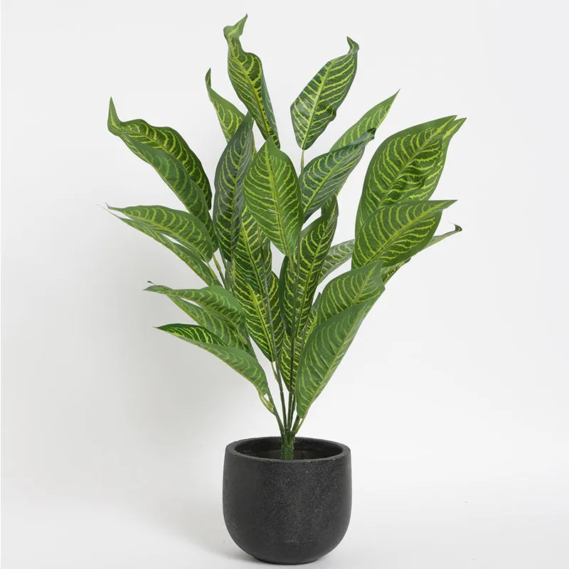 Faux Dark Green Icetone Croton Plant - 2.2 Feet media 2