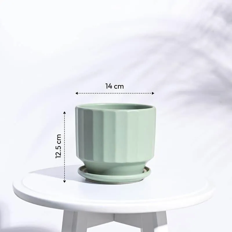 Lexie Ceramic Planter - Mint media 6