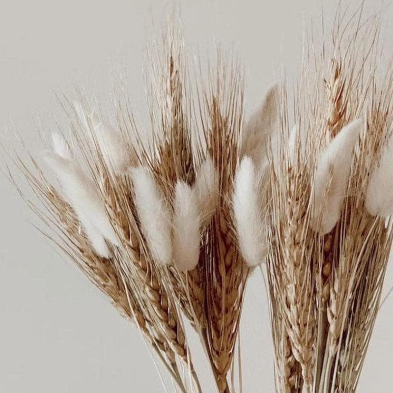 Faux Wheat Grass And Bunny Tails Bunch - Set Of Thirty media 3