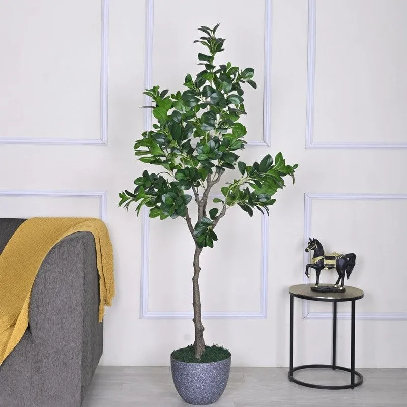 Artificial Peperomia Plant Without Pot - 5.9 Feet media 3
