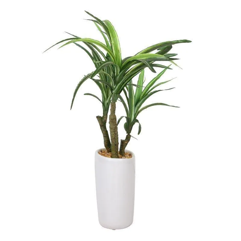 Faux Yucca Bonsai In Tube Pot - 38 cms media 3