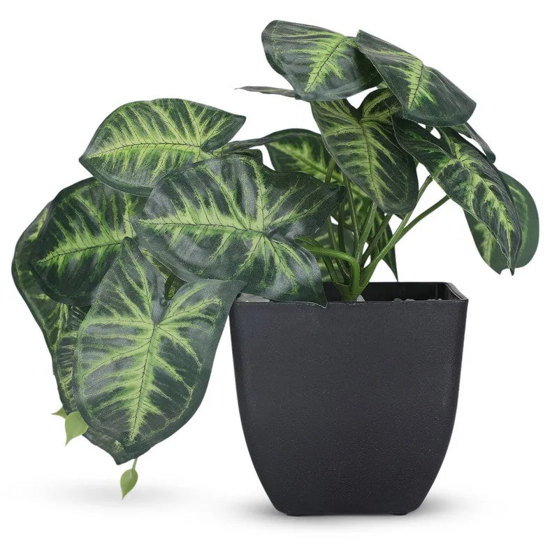 Artificial Arrowhead Plant With Black Plastic Pot media 4