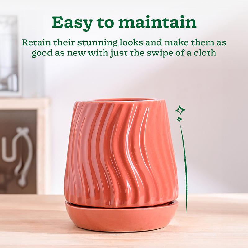 Ugaoo Waves & Roots Ceramic Planter - Coral media 4