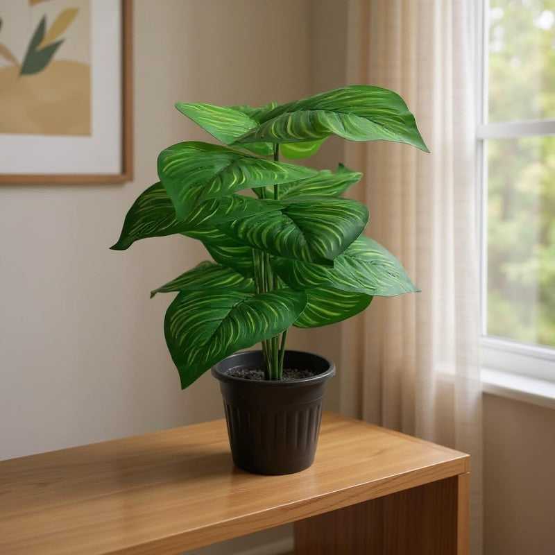Boty Artificial Calathea Plant With Black Plastic Pot - 1.5 Feet media 3
