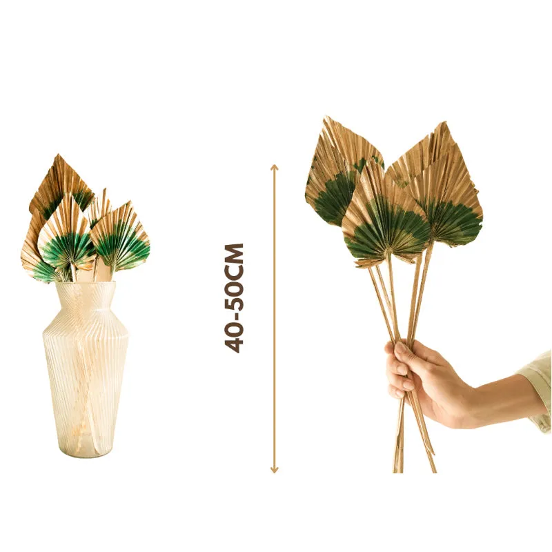 Dried Dual Tone Palm Leaf (Golden Green) - Set Of Five media 5