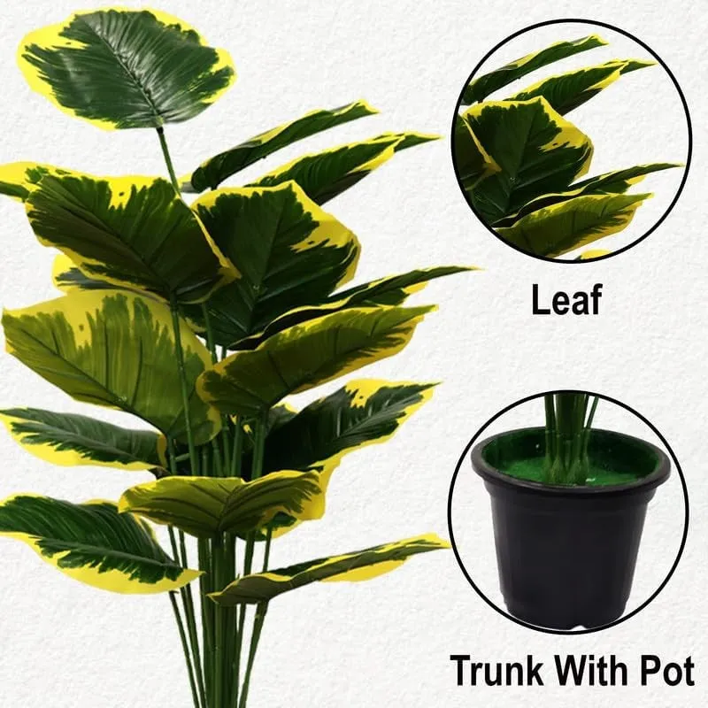 Palmae Artificial Philodendron Caladium Plant With Black Plastic Pot - 2.5 Feet media 5