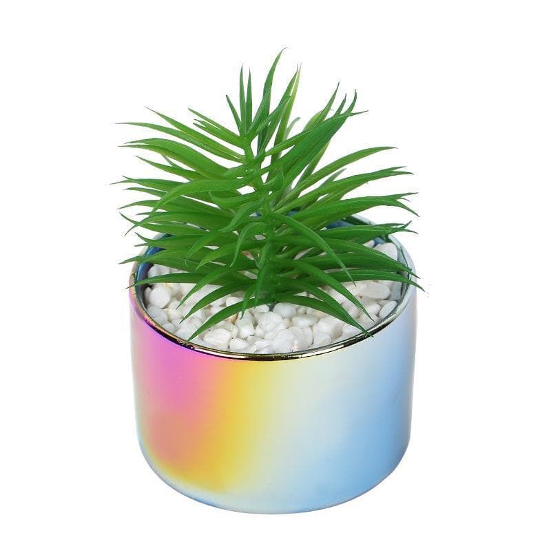 Faux Agave In Ombre Pot - 12 cms media 3