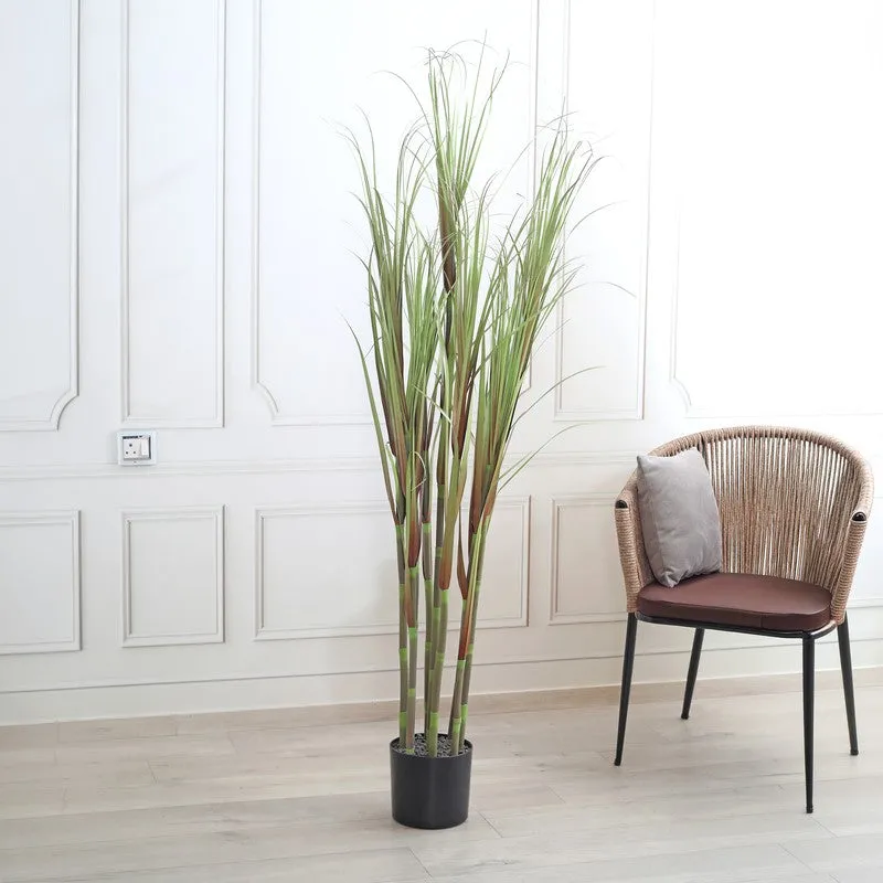 FreshNest Artificial Plant With Black Plastic Pot - 5.9 ft media 3