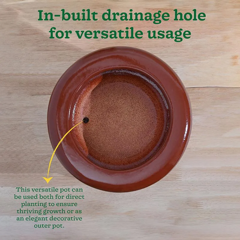 Ugaoo Ceramicurve Two Layer Ceramic Planter - Terracotta media 7