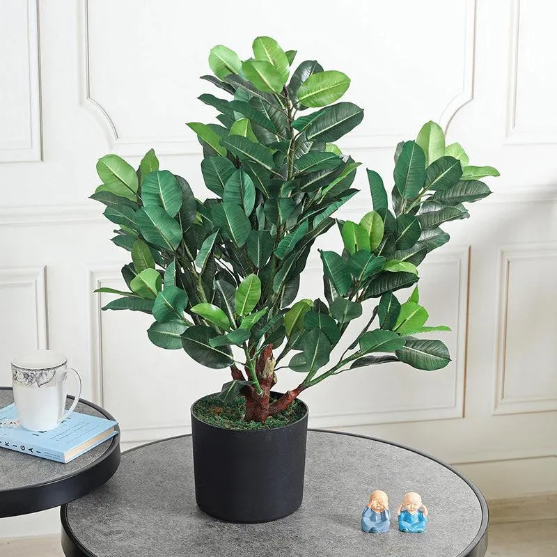 Leaf & Luxe Artificial Plant With Black Plastic Pot media 3