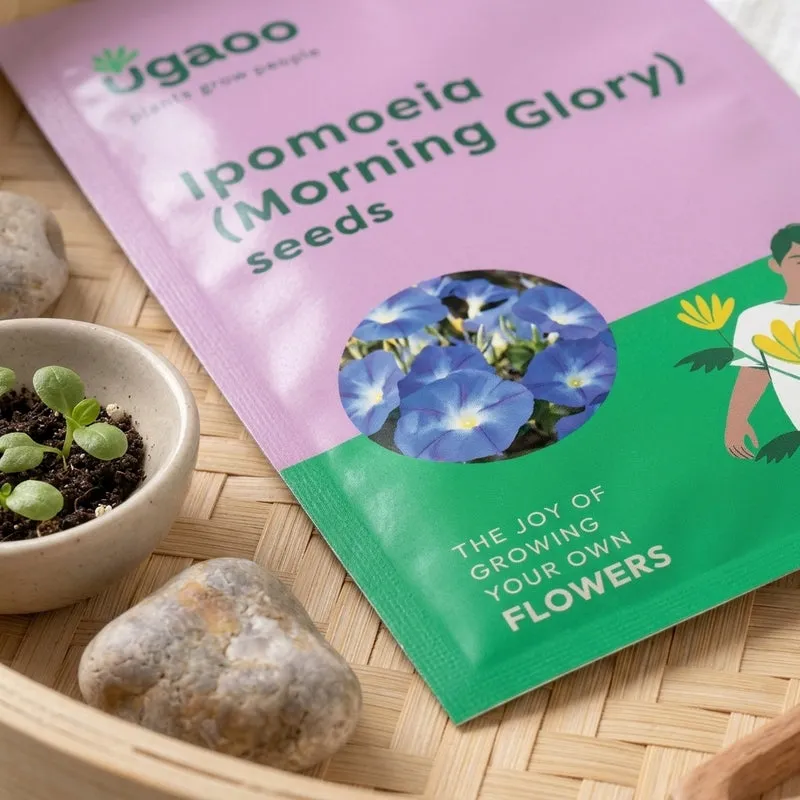 Ugaoo Ipomoea Seeds media 3