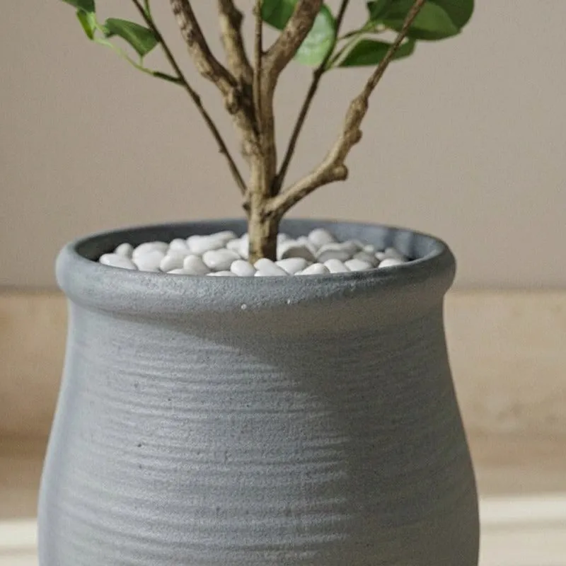 Close-up of the grey planter rim and horizontal textured surface around a plant