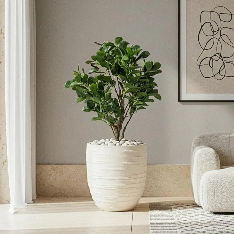 Calmora Floor Planter - Off White - 4