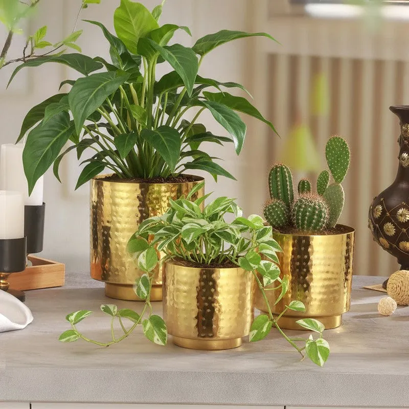 Flora Haven Glow Planter - Set Of Three media 6