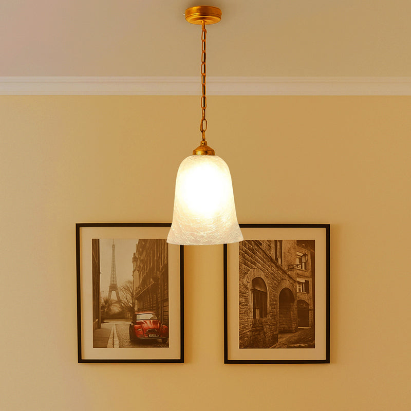 NoorCurve Metal & Glass Ceiling Lamp