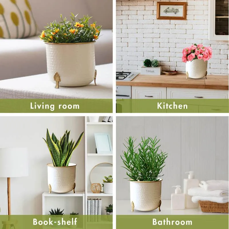 Aurea Metal Hammered Gold Rim Leaf Leg Planter - White media 8