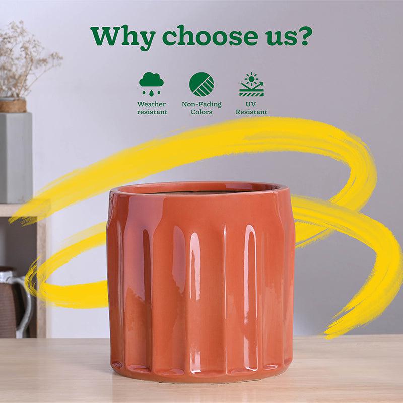 Ugaoo Straits Ceramic Planter - Pink media 6