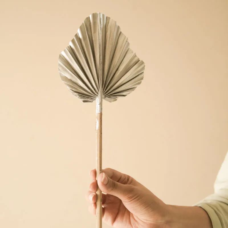 Dried Round Palm Leaf Stem - Set Of Five media 3