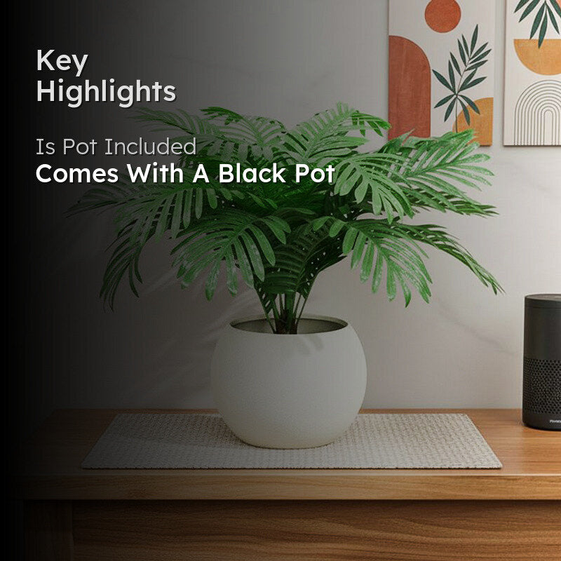 Florascape Artificial Areca Palm Fern Plant With Black Plastic Pot media 2