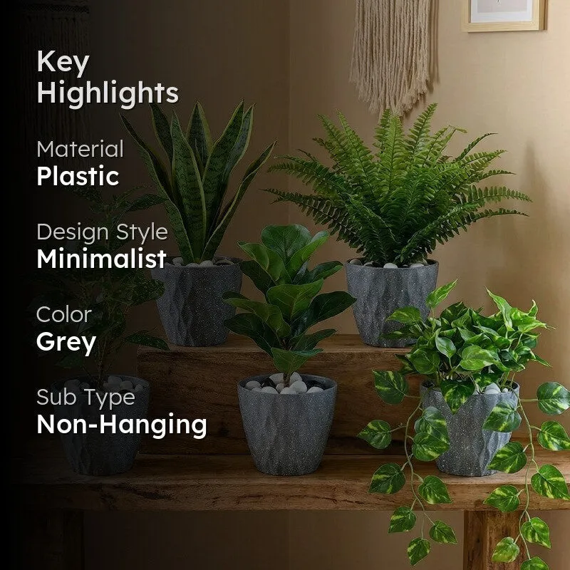 Zenvia Textured Plastic Planter - Set Of Five media 2