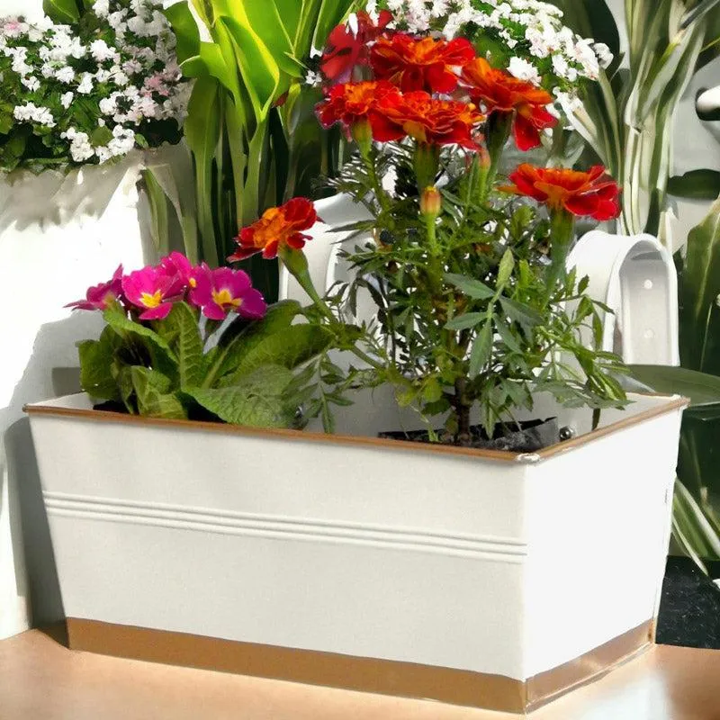 Adro Planter (White) - Set Of Three media 3