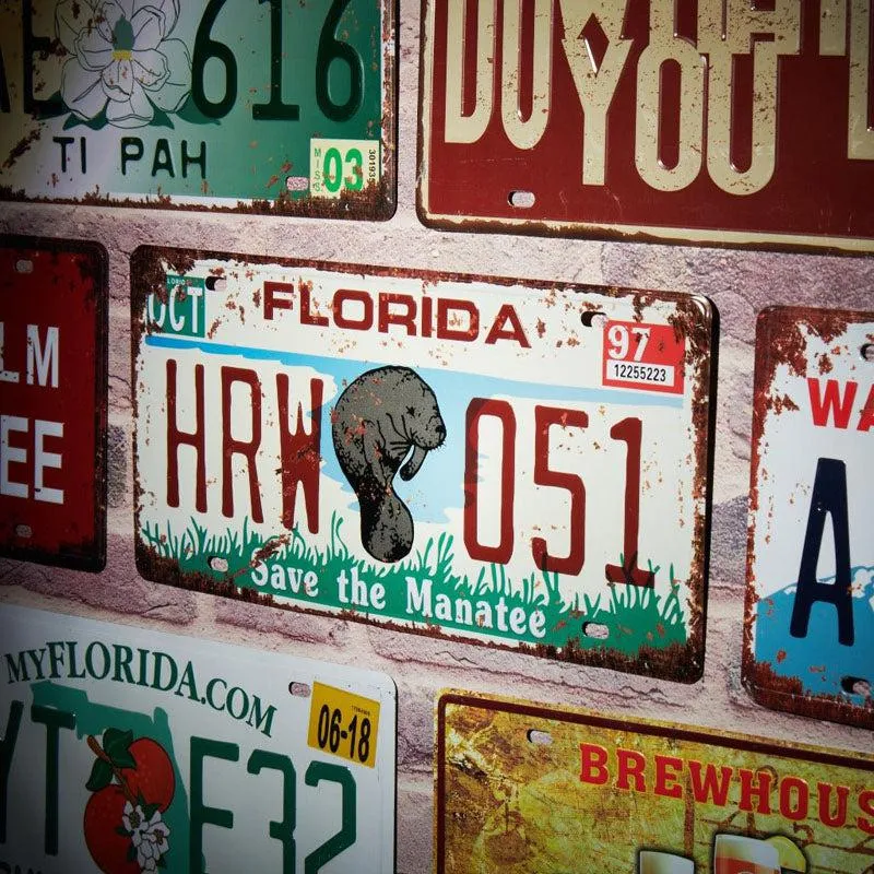 Florida Hrw 051 Number Plate Metal Wall Accent media 5