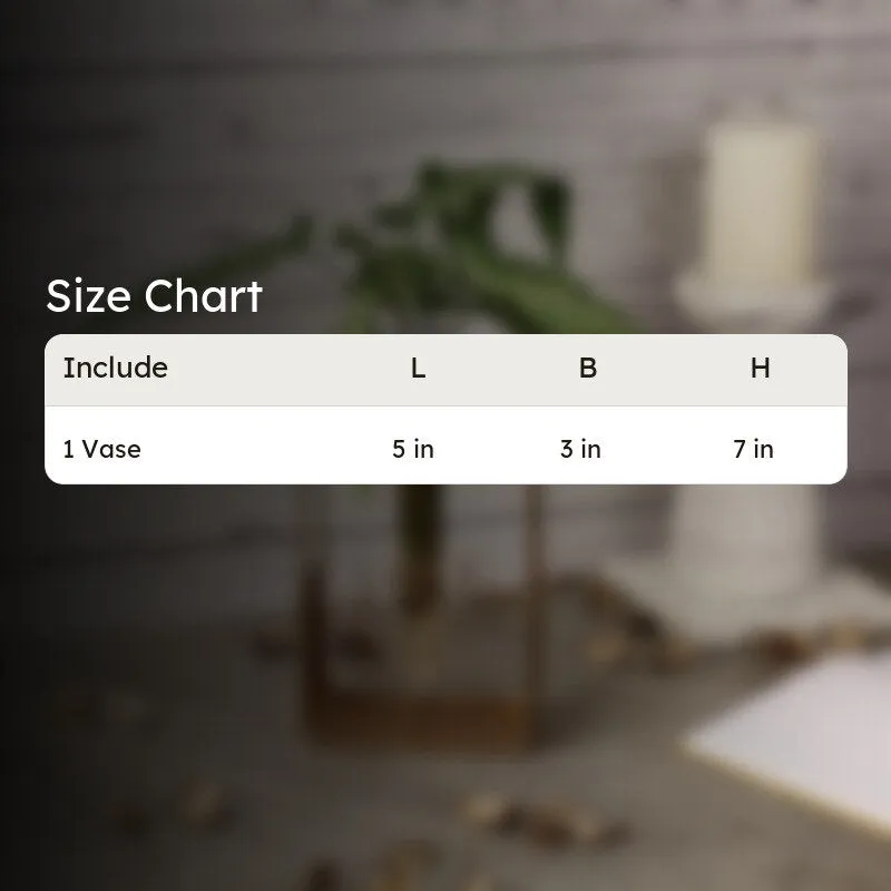 Size chart image for one vase