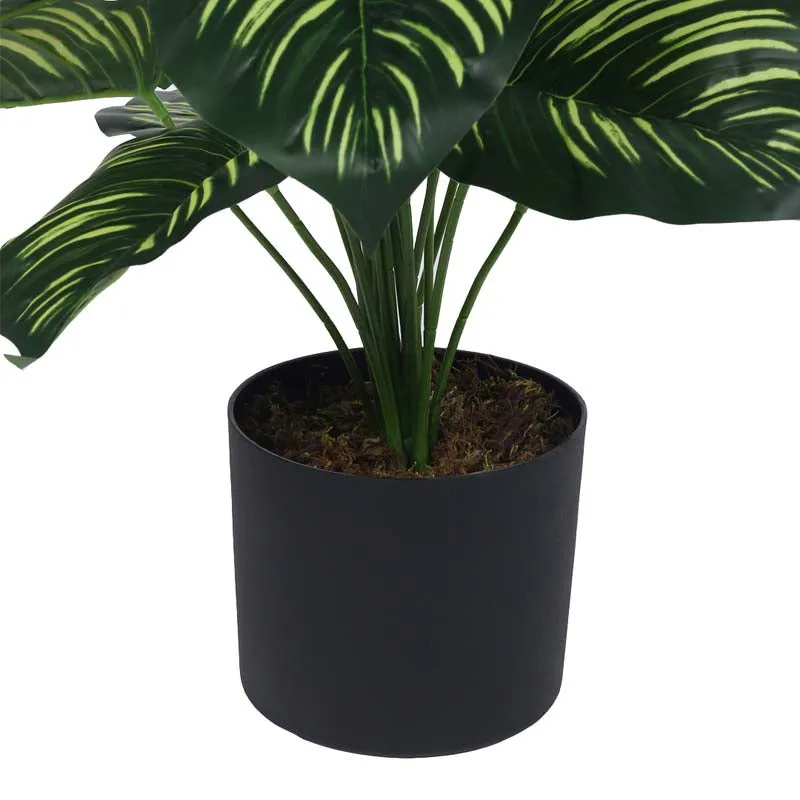 Faux Lush Peperomia Plant With Black Plastic Pot - 2.3 Feet media 6