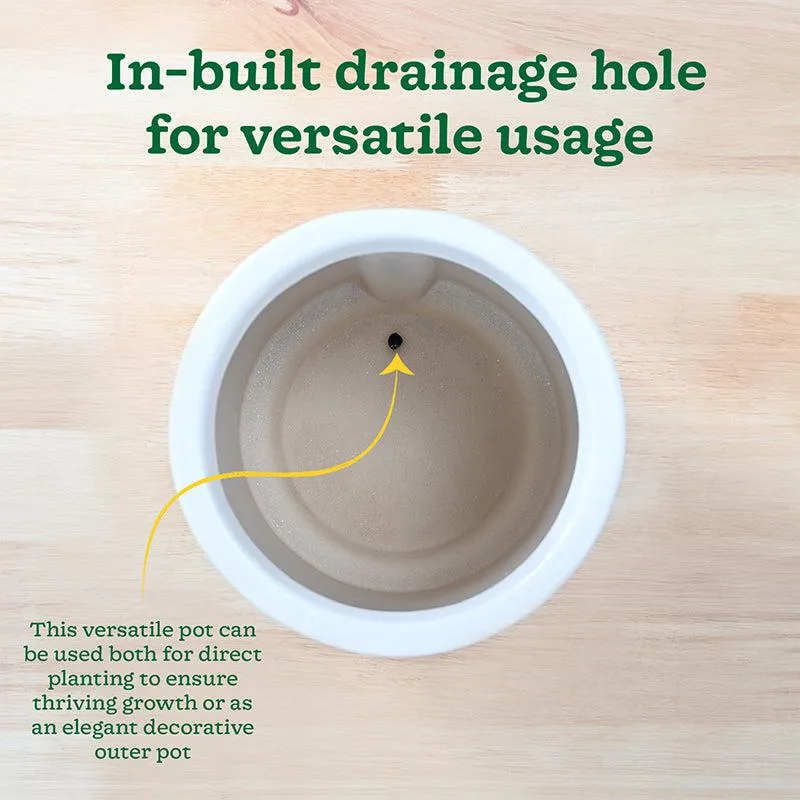Ugaoo Duke of Drainage Ceramic Planter - White & Green media 7