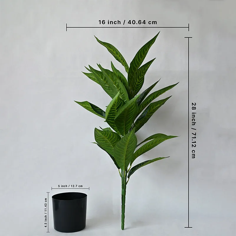 Faux Everlasting Green Iceton Croton Plant With Black Plastic Pot - 71 cm (2.3 ft) media 5