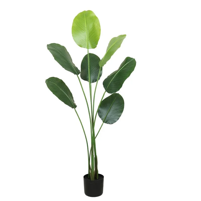 Artificial Calathea Plant With Black Fiber Pot - 4.8 Feet media 5