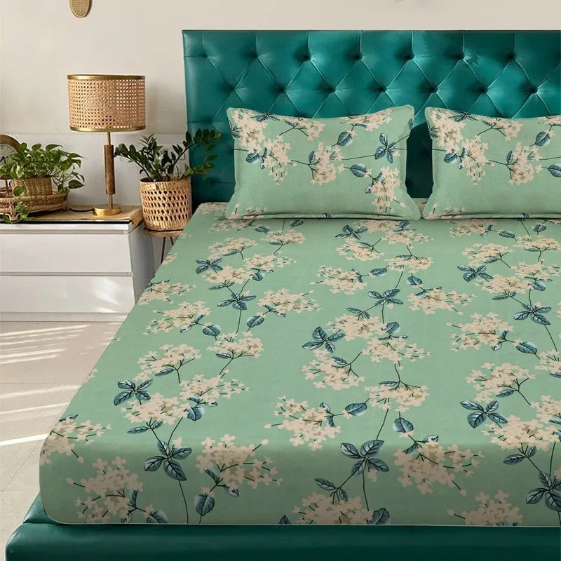 Emerland Bedsheet - 300 GSM media 3