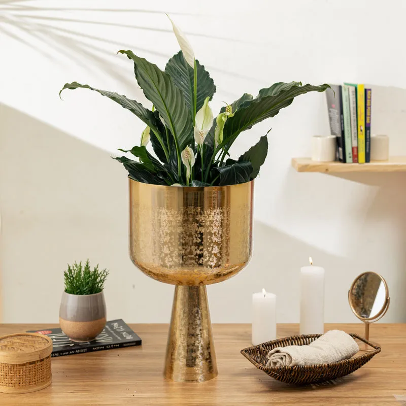 Textura Aureme Planter media 4