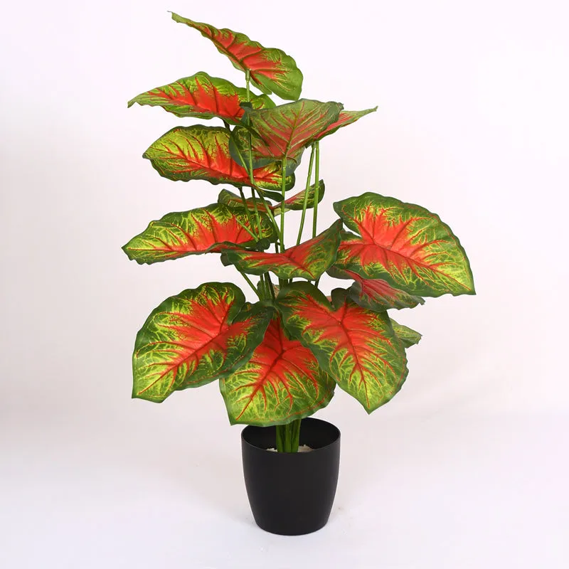 Calena Artificial Caladium With Black Plastic Pot - Red media 6
