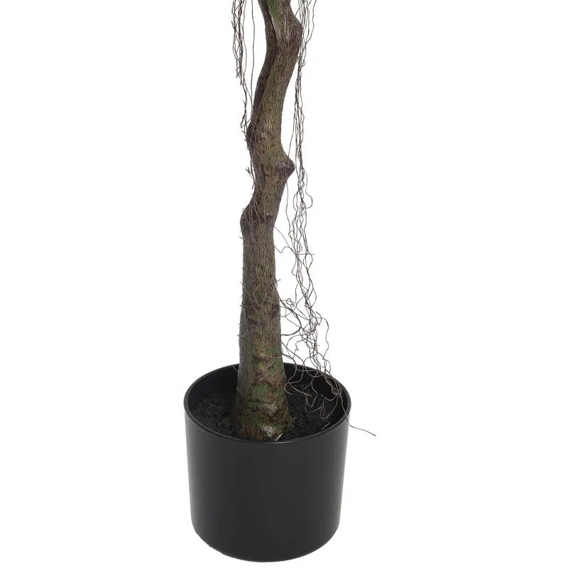 Evergreen Aura Artificial Plant With Black Plastic Pot - 4.2 ft media 7