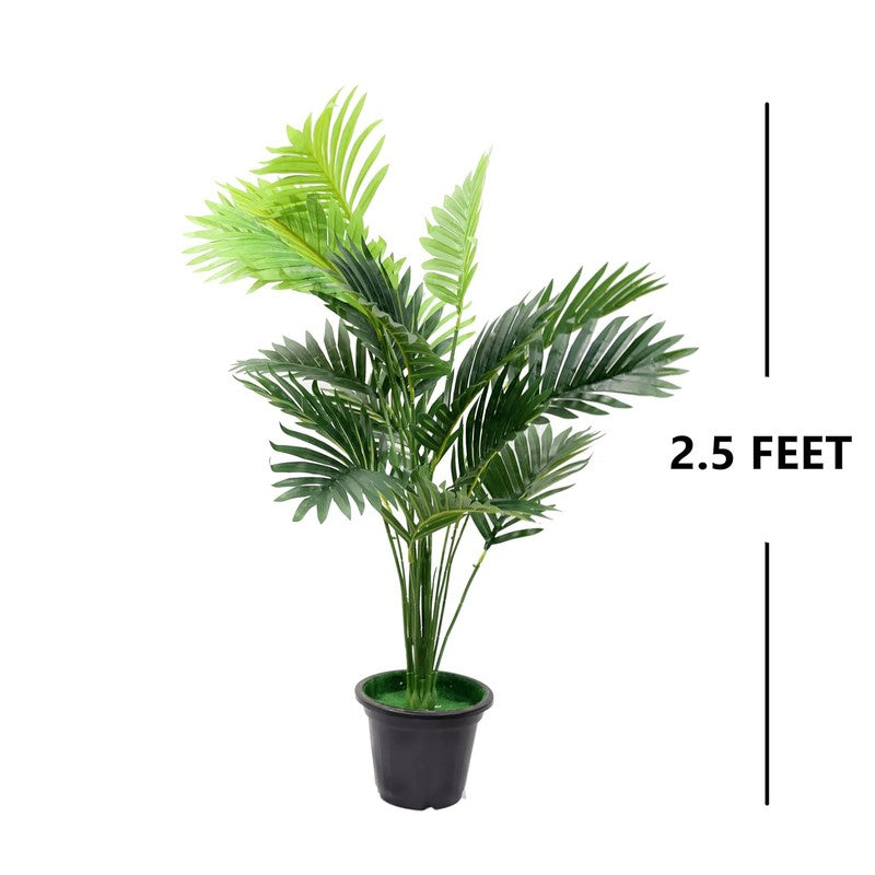 Leafscape Artificial Areca Palm Plant With Black Plastic Pot - 2.5 Feet media 7
