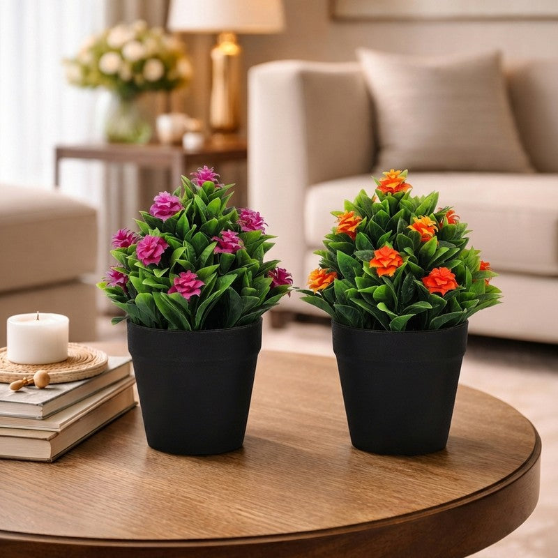 Ethnora Artificial Plant With Plastic Pot(Set of Two) - 0.6 Feet