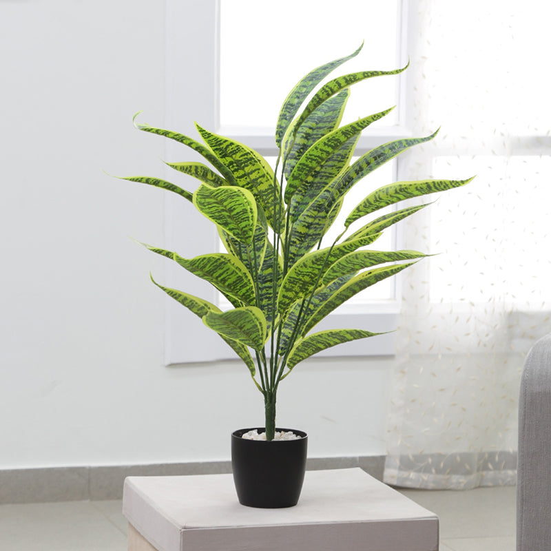 Faux Iceton Snake Plant - 2.2 Feet media 2