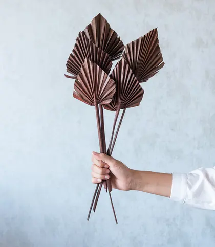Dried Flowers & Leaves