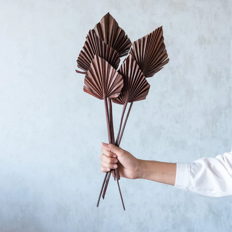Trovio Naturally Dried Palm Leaf (Brown) - Set Of Five media 1