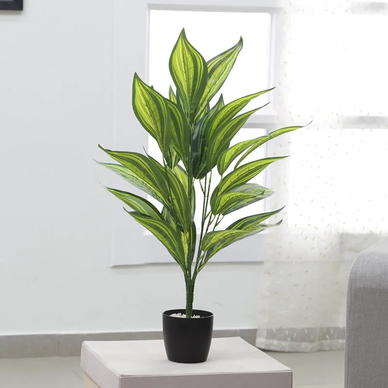Faux Sterling Dieffenbachia Plant - 2.2 Feet media 2