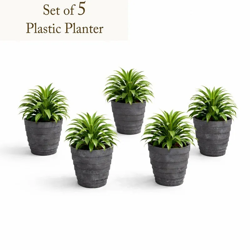 Velora Planters (Grey) - Set Of Five media 3