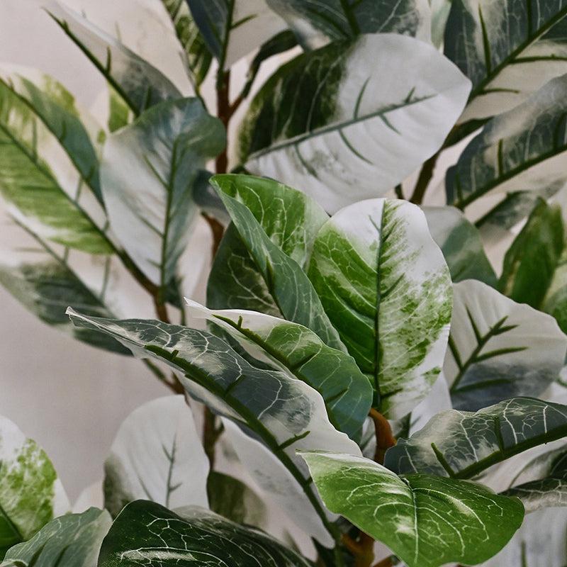Faux Everlasting White Croton Tree With Black Plastic Pot - 110 cm (3.6 ft) media 4