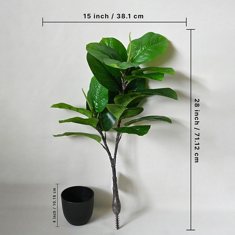 Faux Decorative Fiddle Fig Plant With Pot - 71 cm (2.3 ft) media 5
