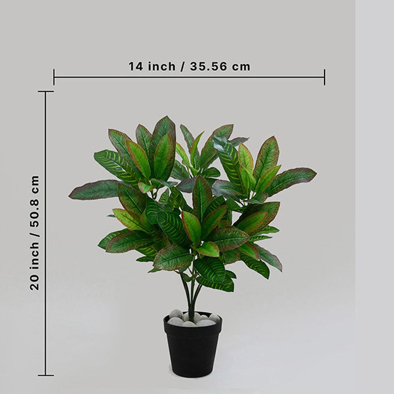 Faux Everlasting Croton Plant With Black Plastic Pot - 51 cm media 5