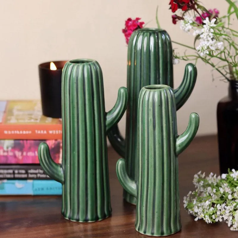 Cacti Crista Vase - Set Of Three media 1