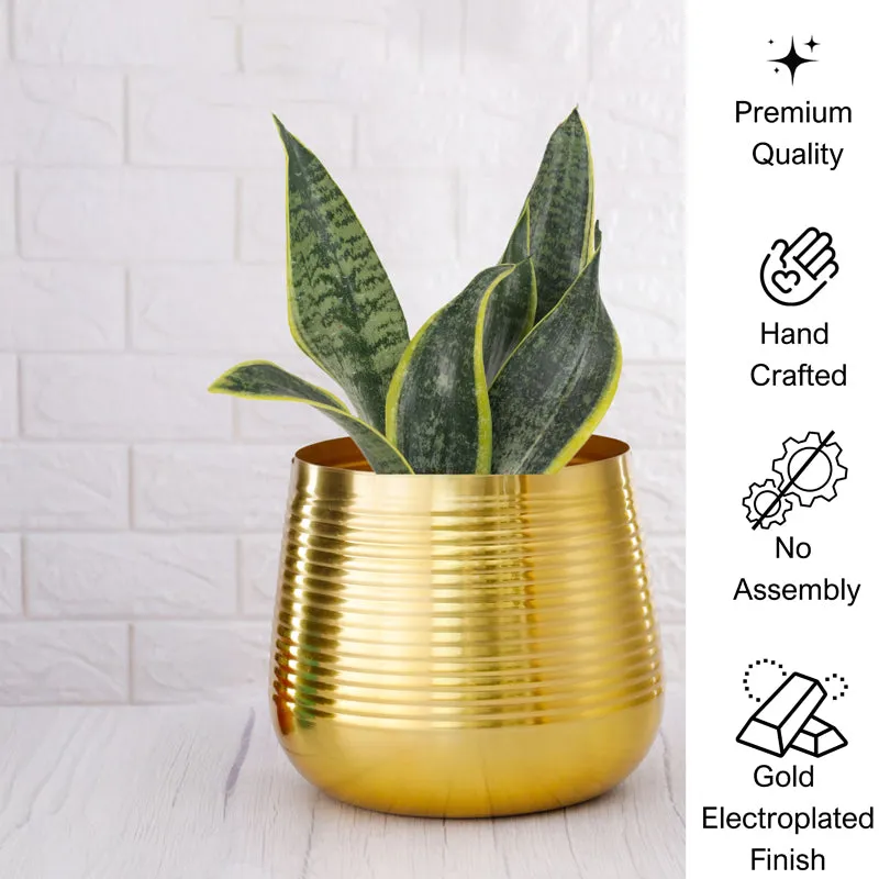 Auric Metal Golden Ribbed Planter media 6